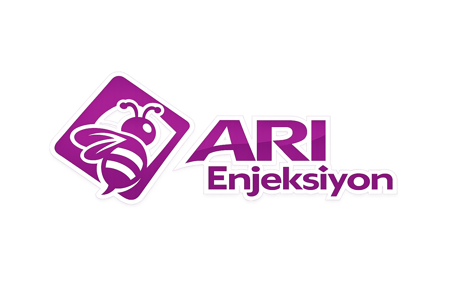 Ari Enjeksiyon